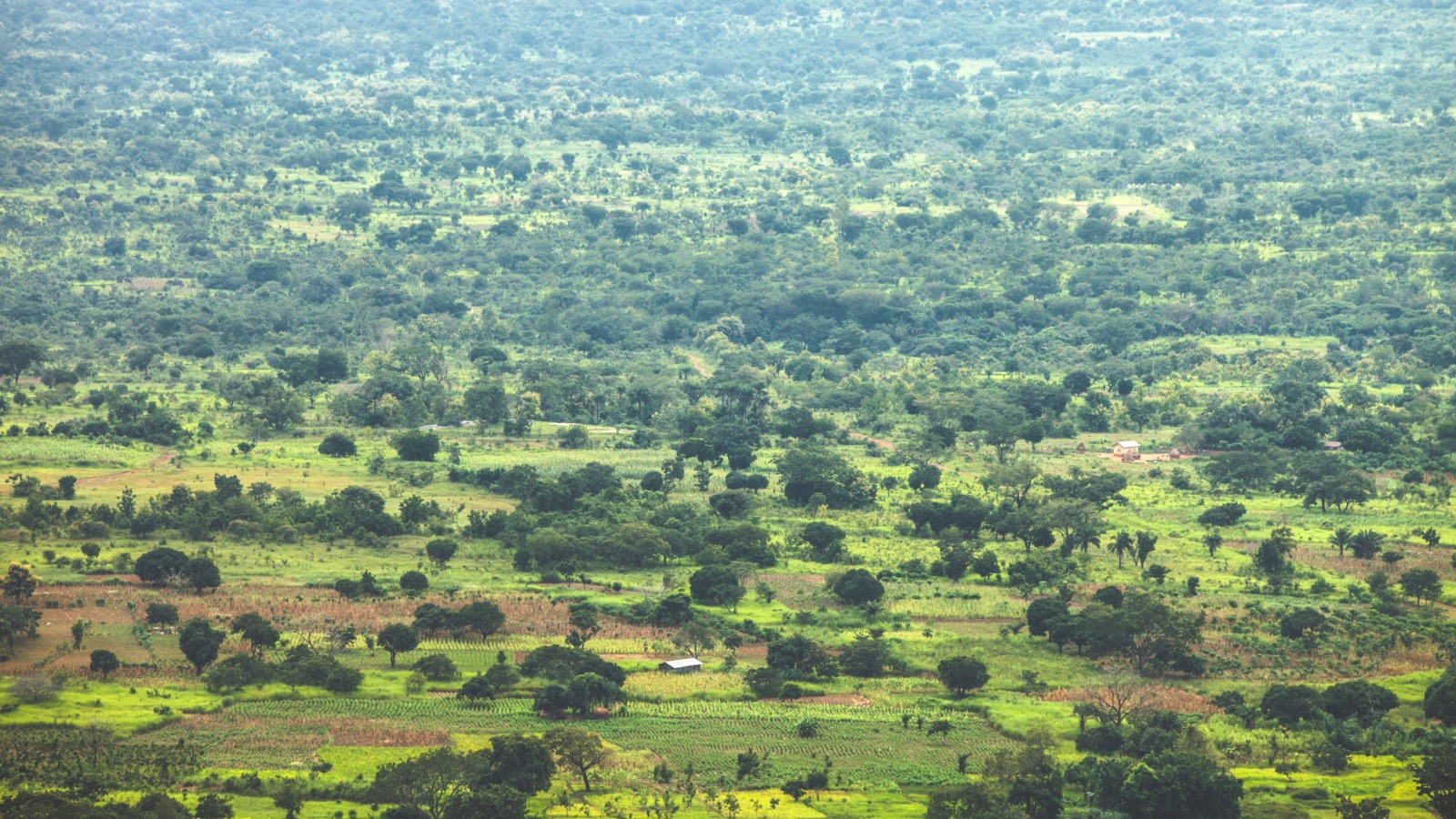Environmental Planning & Sustainability